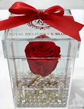Charger l&#39;image dans la galerie, Eternity Rose
