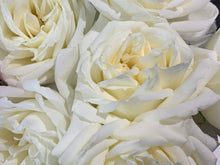 Charger l&#39;image dans la galerie, Medium Luxury Fresh Blooms

